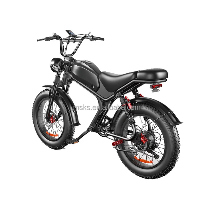 

2024 Retro Fat Bike USA Warehouse 48V 20AH Electric Fat Bike 1000W Motor With Full Suspemsion Fat Tyre Cycle Dropshipping