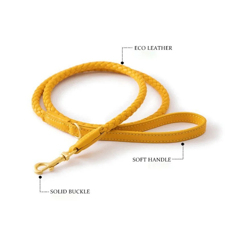 

Woven Leather Dog Leash & Collar with Ribbons Fashion Solid Pattern Eco-friendly for Small Dogs-Cross Border