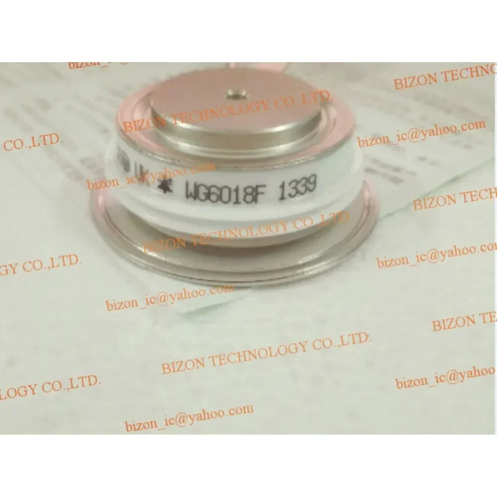 WG6018 WG6018F New Original Module