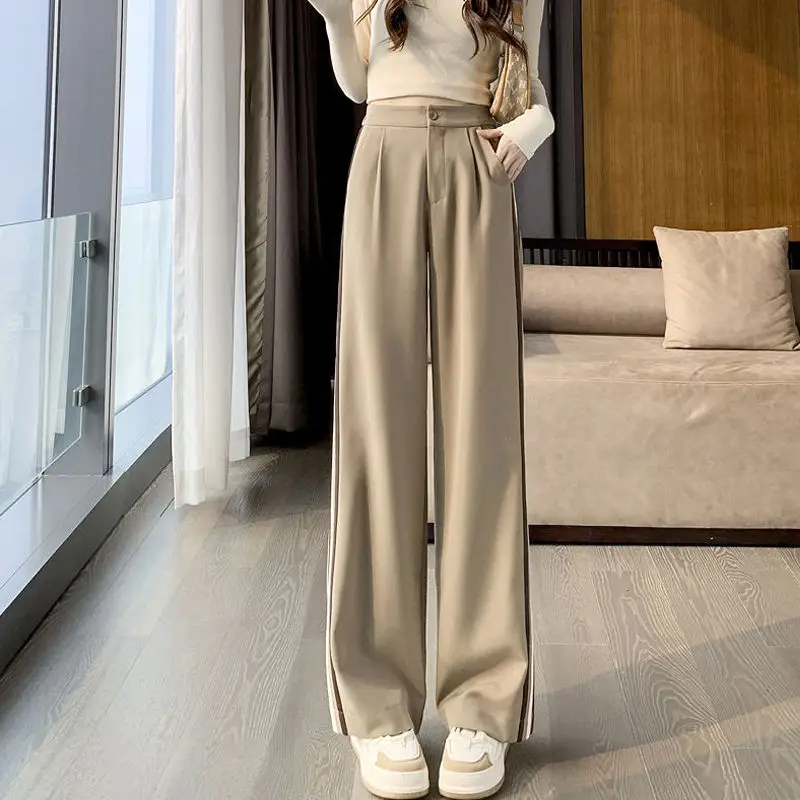 Side Stripe Button Pockets Zipper Solid Color Fashion Pants Loose Temperament Simplicity Spring Autumn Thin Women's Clothing