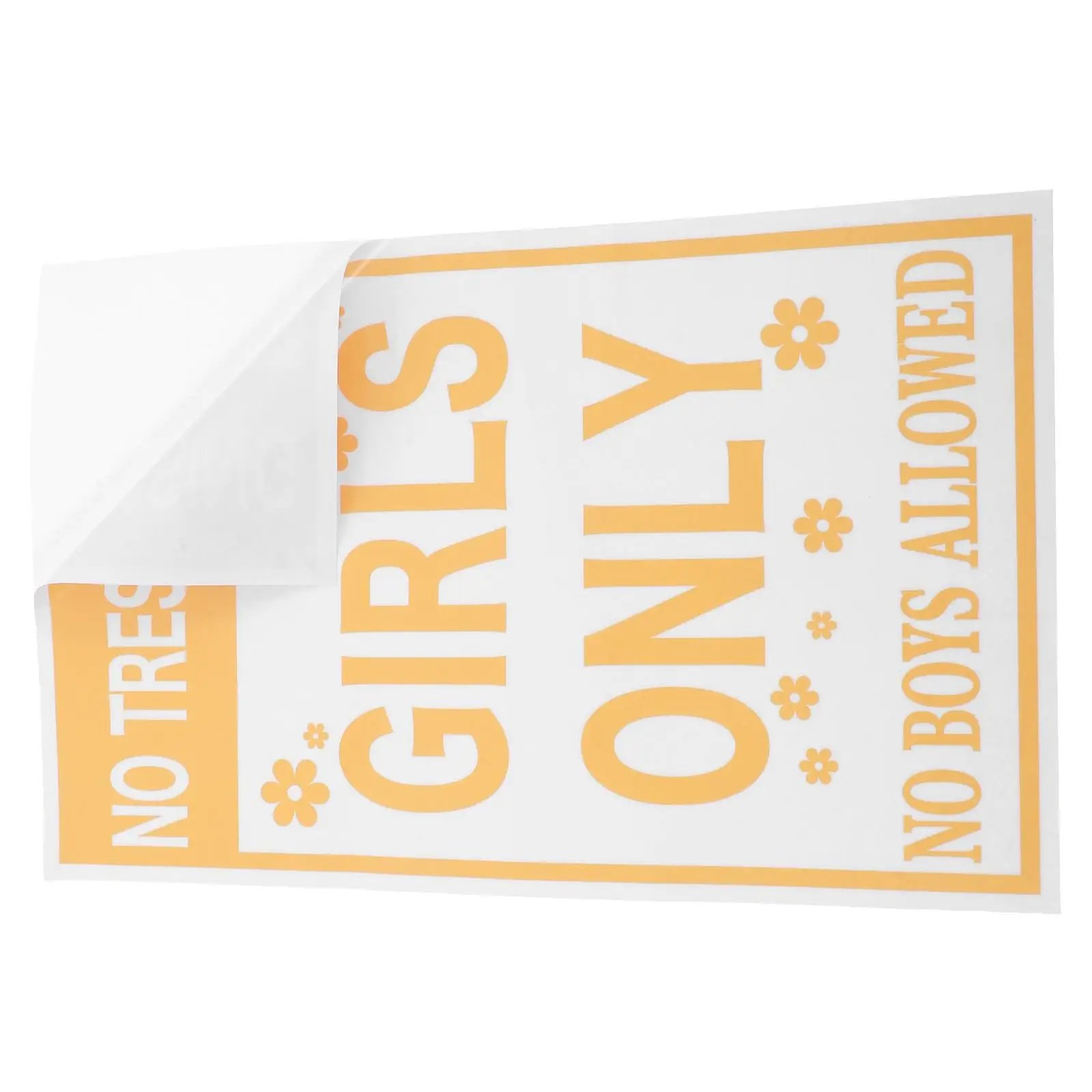 

Girls Room Door Sign No Trespassing Allowed Wall Sticker Girls Room Door Decal Girls Bedroom Wall Girls Cave Decor Girls Roo