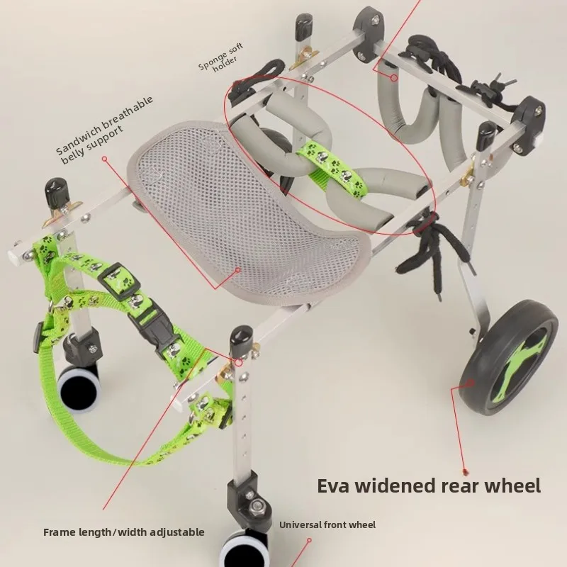 Thumbnail 4 - #39 Ranked Pet Agility Equipment Picks in 2026