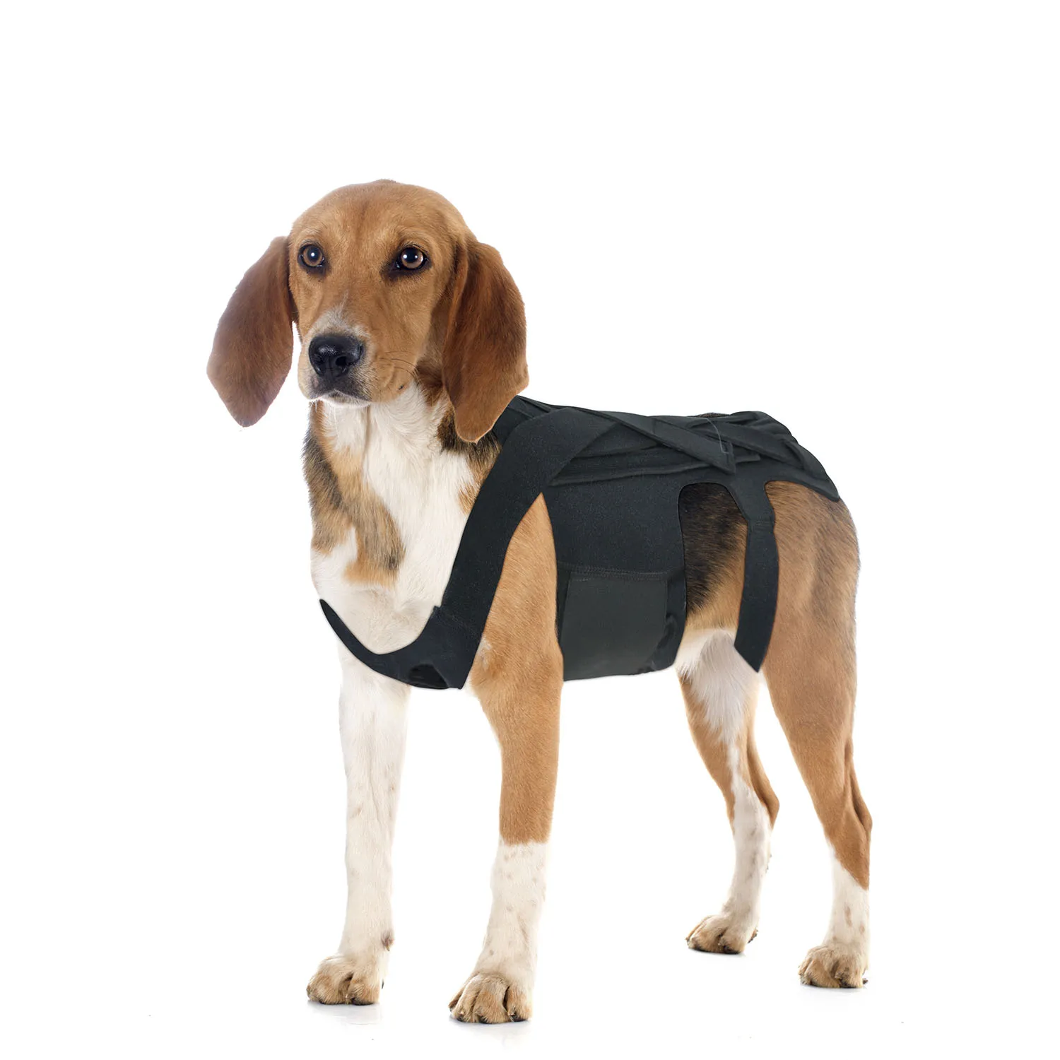 Black Soft Ribbed Pet Vest Dog Adjustable Back Brace for IVDD Dog Back Pain Relief, Arthritis Dachshunds Corgies Dog Vest