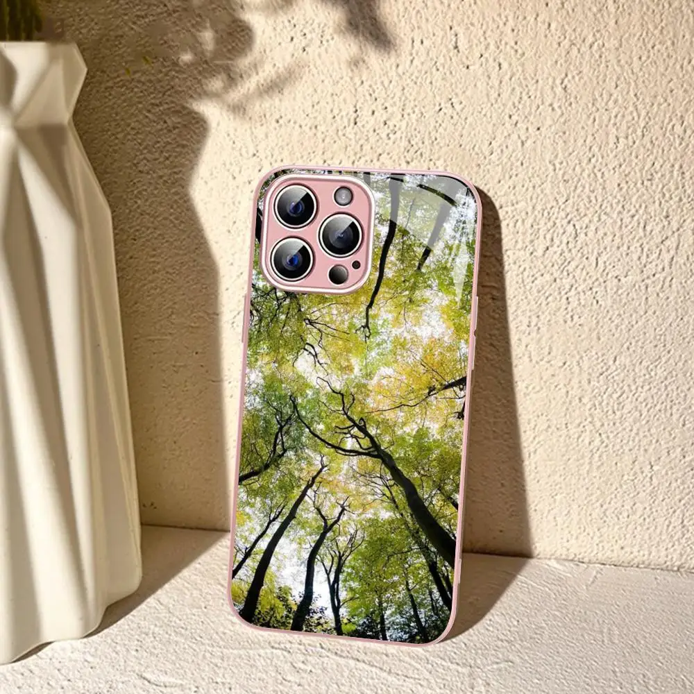 Look up Sky Forest Phone Case For iPhone 14 13 12 Mini 11 Pro XS Max X XR 14 Plus Tempered Glass Cover