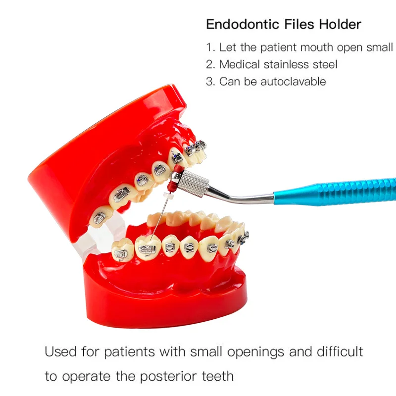 Outils de lime dentaire en alliage d\'aluminium autoclavé, poignée endodontique dentaire, porte-fichier de canal radiculaire, fonctionnement