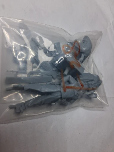 Buyer photo of this resin kit