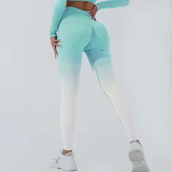Sports Fitness Clothing Women's Gym Women's Clothing Fitness Leggings Sports Leggings Yoga Leggings High stretch cycling pants