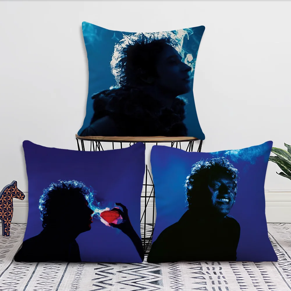 Singer G-Gustavo C-Cerati cushion cover Living Room Accent Couch Back Support Square Lounge Restful Nap Companion Pillow Case