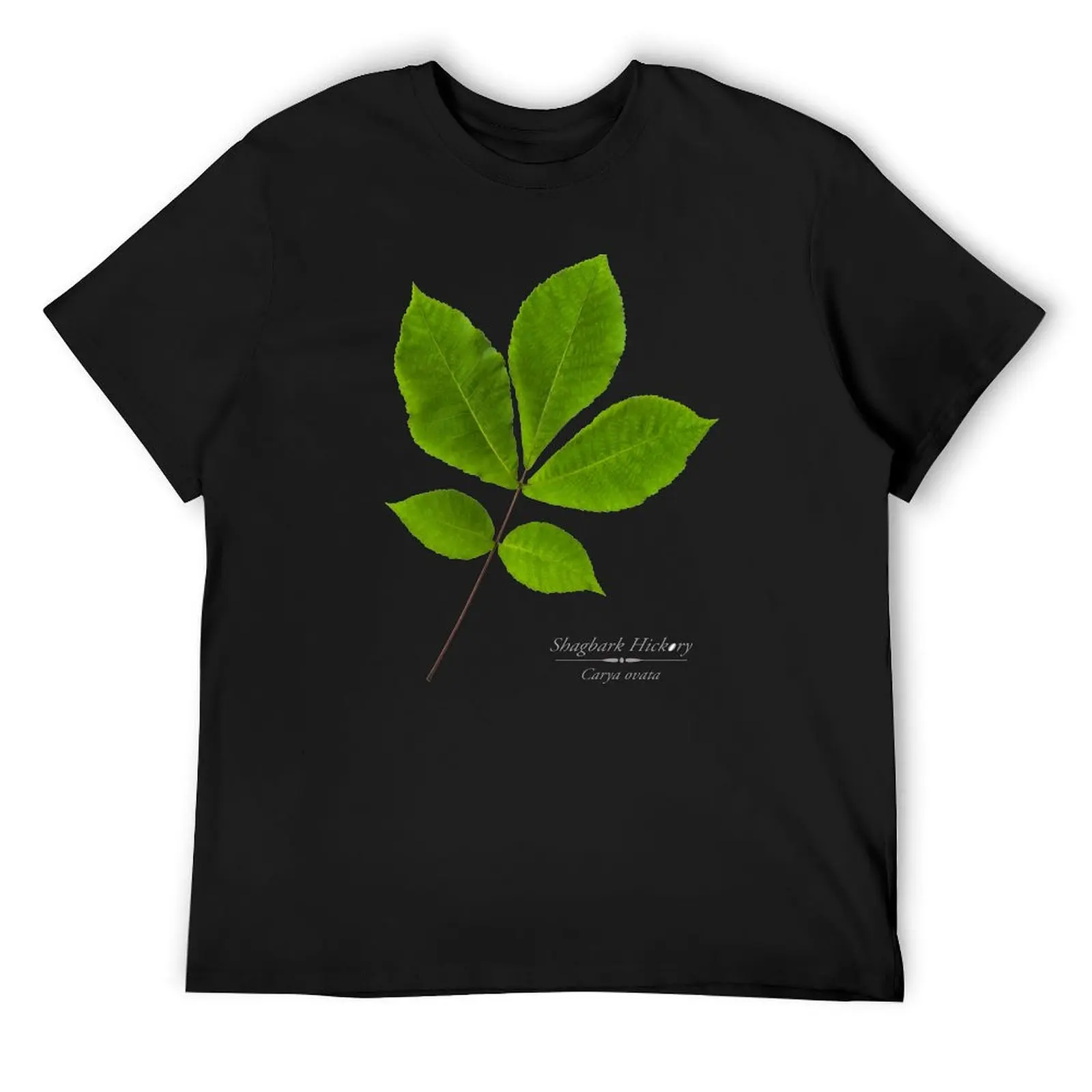 

Shagbark Hickory Tree T-Shirt sports fans man t shirt mens t shirts pack