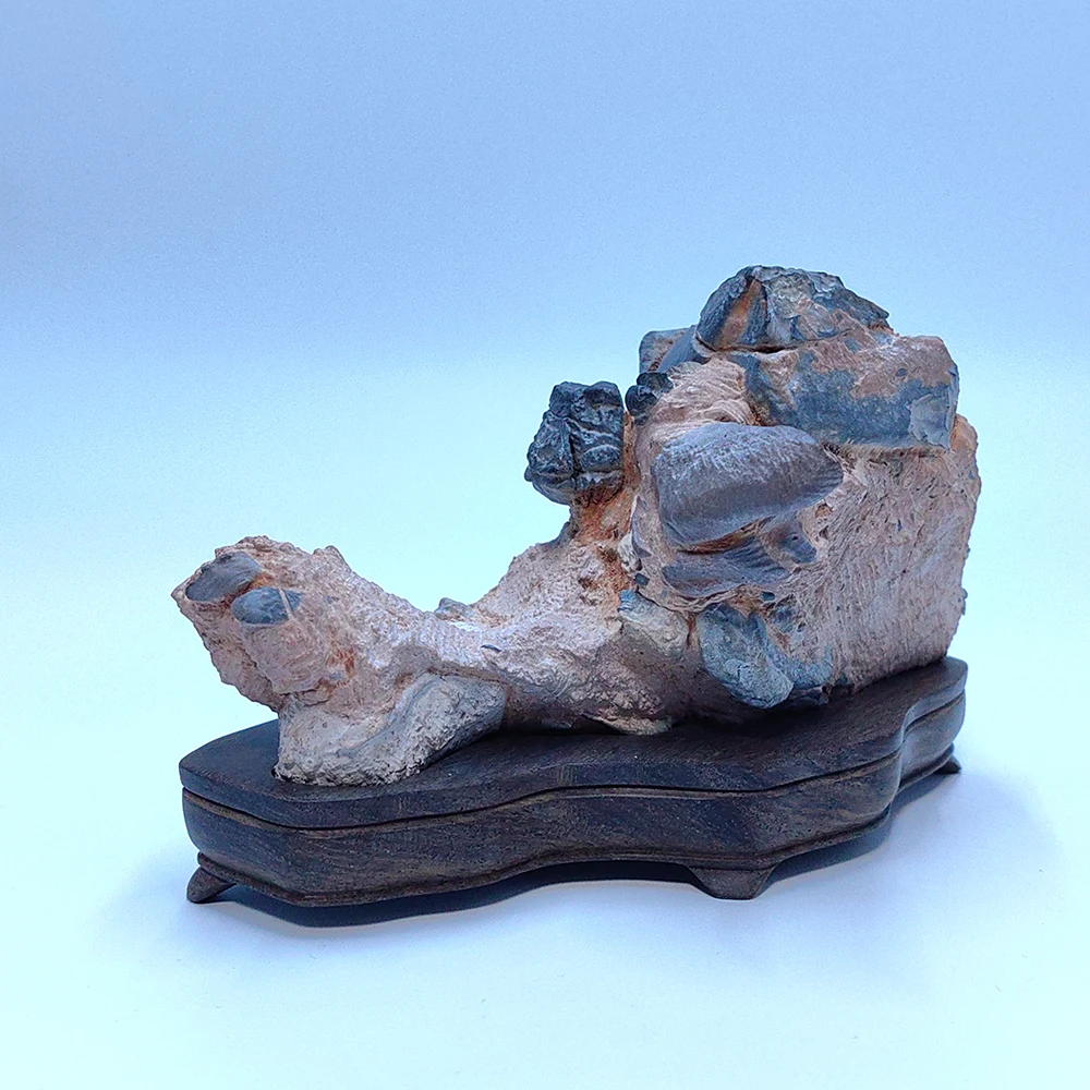 Suiseki Stone Natural Stone Landscape Stone Men Gift Asian Natural Stones Home Decorations Rock Reiki Cadeau Homme 수석