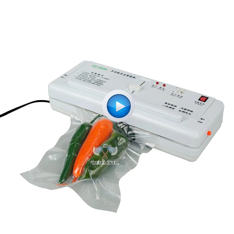 DZ-300A mini portable household commercial food saver vacuum sealer