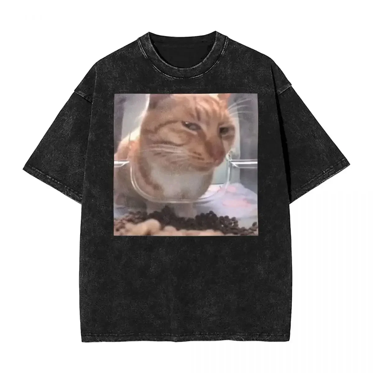 

Промытая футболка Mr Fresh The Side Eye Cat Hip Hop Cool T-Shirt Street Funny Meme 100% хлопок Летние топы Футболка для мужчин и женщин