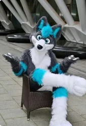 Long Fur Furry Grey Wolf Husky Dog Fox Fursuit Mascot Costume Adult Cartoon Character Halloween Carnival Fancy Party