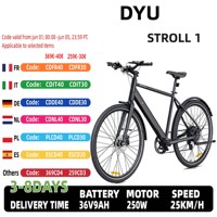 DYU-Stroll 1 Aluminum City Electric Bike, 250W Brushless Motor, 36V9AH Lithium Battery, 16 Inch