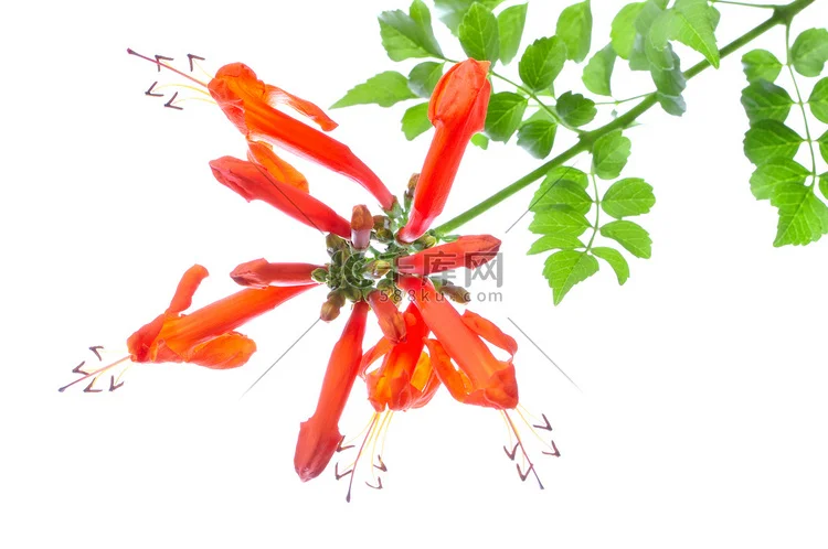 

Металлическая защитная рамка для передатчика, защитная рамка для аккумулятора для Flysky Noble NB4 Pro