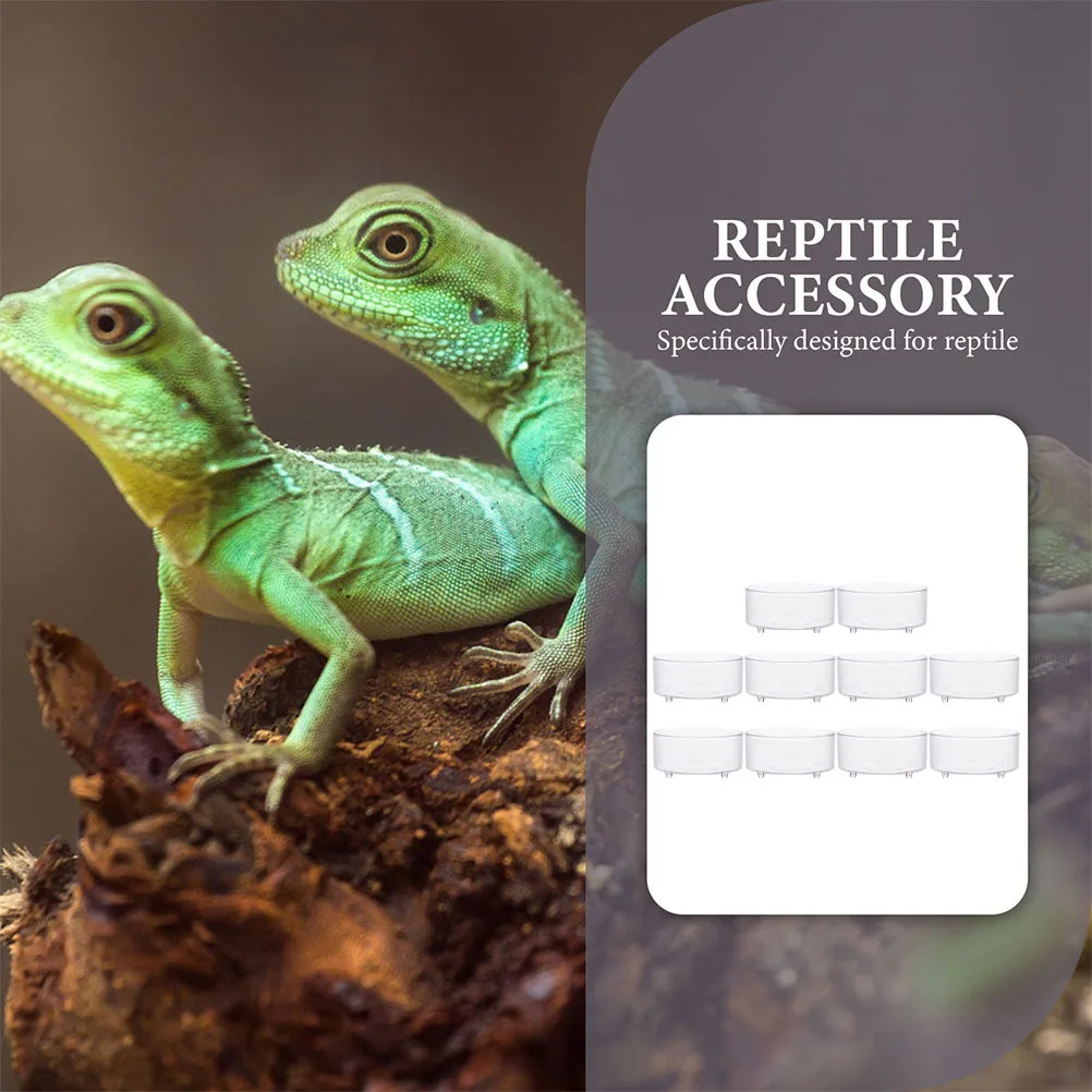 

10pcs Reptile Water Feeding Bowl Terrarium Food Dish Acrylic Tortoise Tray