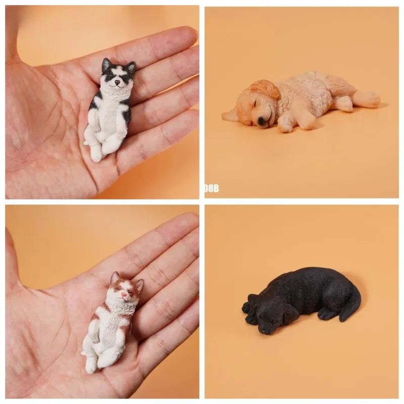 

В наличии JXK масштаб 1/6, милый золотистый ретривер, хаски, лабрадор, модель собаки, украшение для 12 дюймов, экшн-фигурки, реквизит, украшение