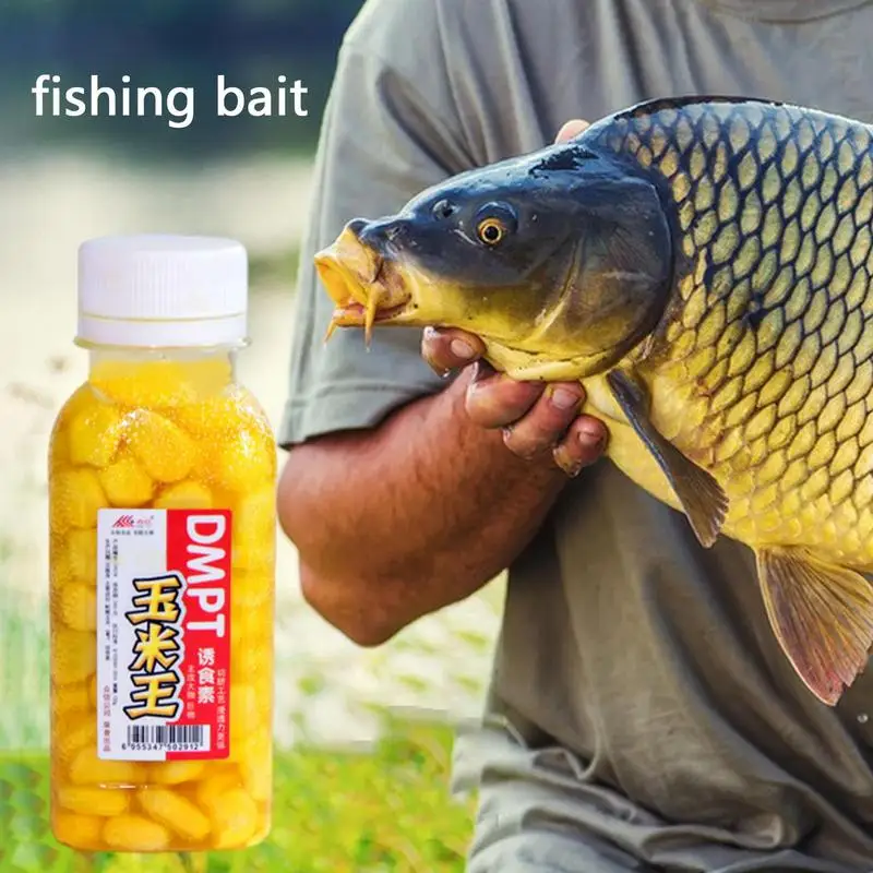 Carp Fishing Corn Trout Fishing Bait Carp Bait For Lake Carp Corn Lure With Strong Aroma DMPT Trout Grass Carp Carp Saltwater