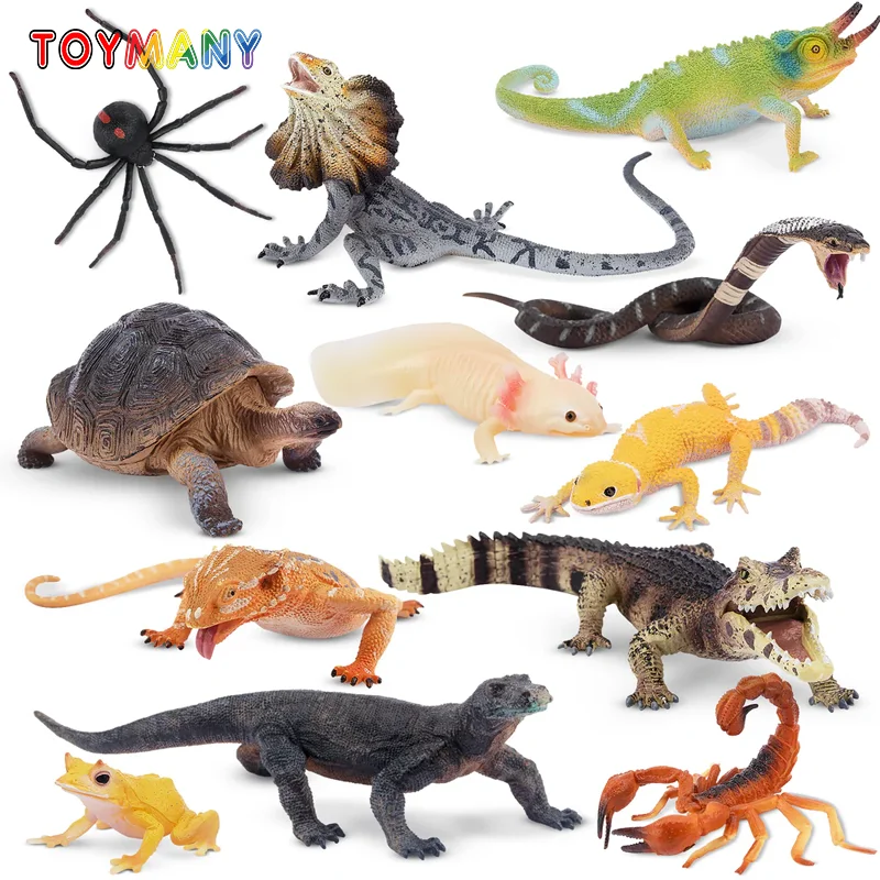 

12Pcs Simulation Reptile Animals Model Toy Mini Lizard Snake Frog Figures Dolls Action Figurines Toys for Children Set Gift