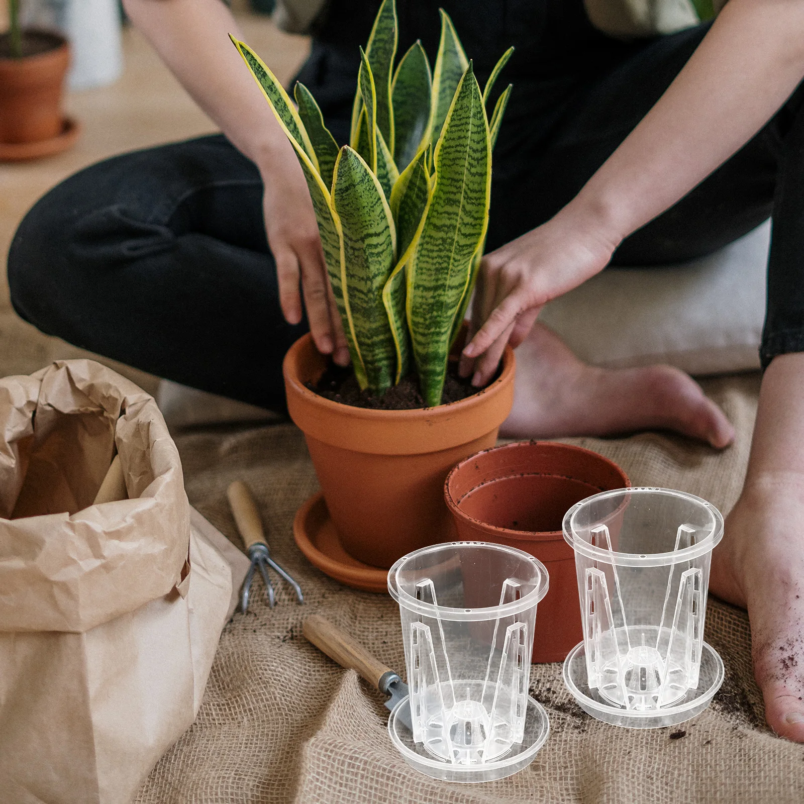 5 مجموعة 5 مجموعات واضح أواني الأوركيد تنفس التحكم في الجذر مصنع الحضانة أواني الزهور لزراعة الأوركيد الحاويات البلاستيكية الصرف