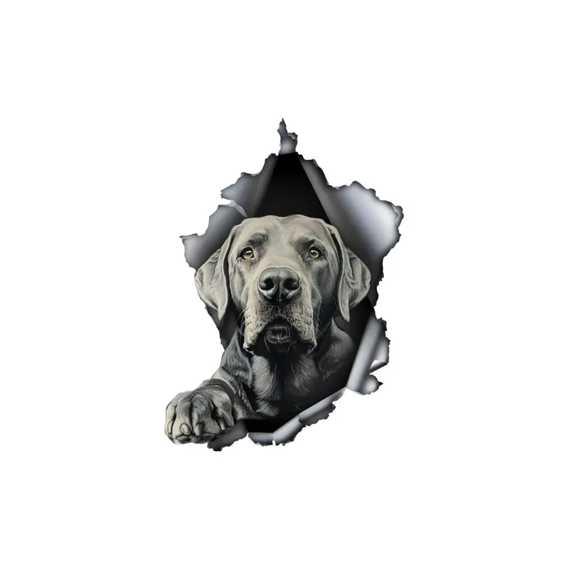 DK548# Labrador Hiding in the Hole Sticker, 1pc Funny Car Decal, Suitable for Cars, Trucks, Motorcycles, Walls