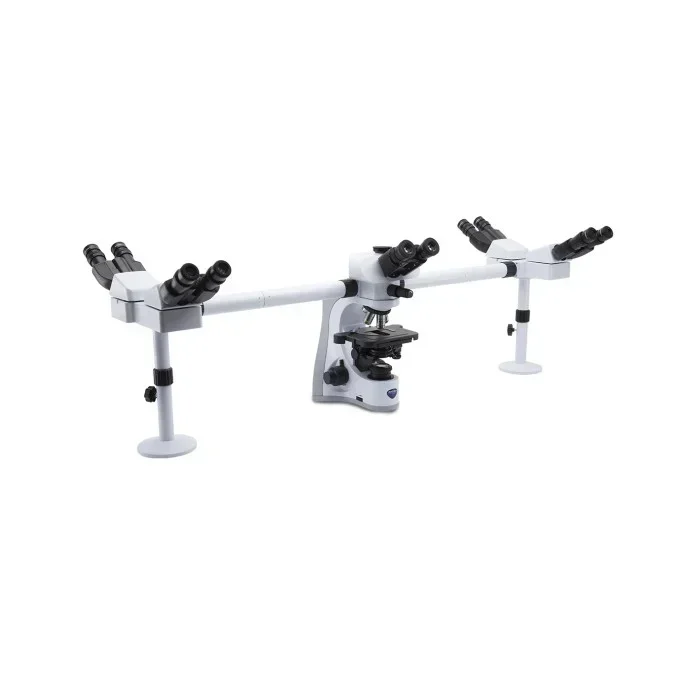 Multi-viewing Microscope  N510 40x-1000x Fiver Person teaching microscope