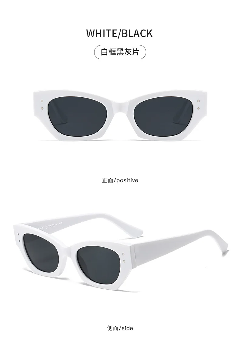 Vintage Kleine Niet Cat Eye Sonnenbrille Frauen Mode Marke Luxus Designer Polygon Sonnenbrille UV400 – Detail 17