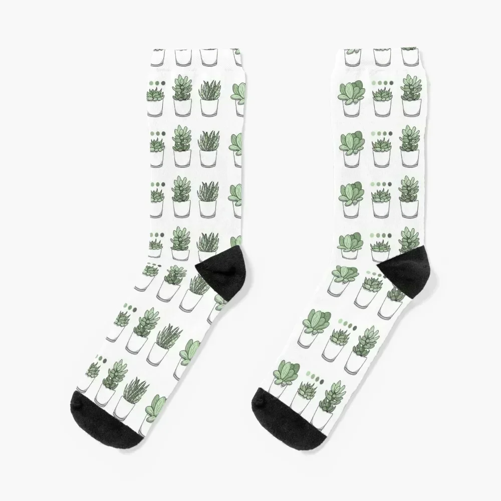 Tiny Potted Succulents and Gradient Socks fashionable cotton sport short Men's Socks Luxury Women's