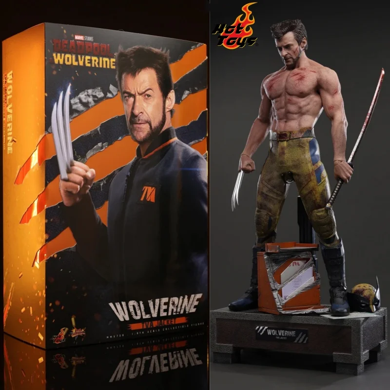 

In Stock HOTTOYS HT 1/6 MMS756 Deadpool & Wolverine Muscular Body Tva Jacket Version 12inch Wolverine Collectible Model Toy Gift