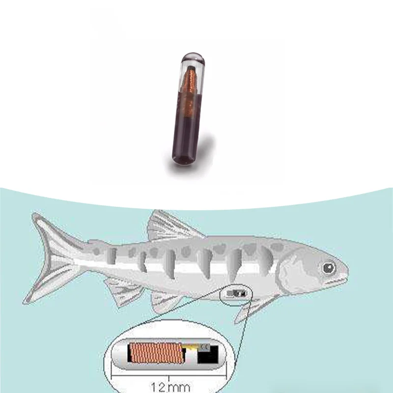 2.12x12mm RFID glass tag bio-glass transponder EM4305 ISO11784/785 ICAR FDX-B 134.2khz microchip micro chip for fish ID arowana