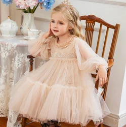 New Baby Summer Girls Boutique Fairy Mesh Long Sleeve Dress, Princess Kids Elegant Party  Dresses   1-7T