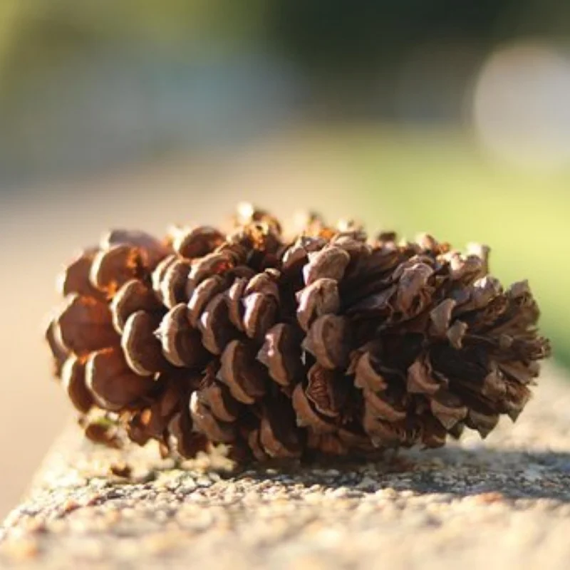 

Комплект стальных передних и задних дифференциалов 43T 10T ARA310990 для ARRMA1/8 KRATON V5 V6 1/7, детали для обновления BIG ROCK MOJAVE EXB