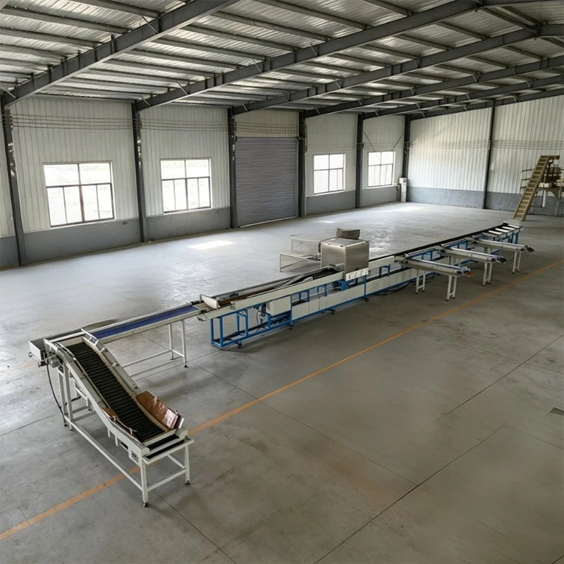 High Accuracy Automatic Sorting Machine Complete Grading System Supporting Fruit Vegetable Washing Line Matching