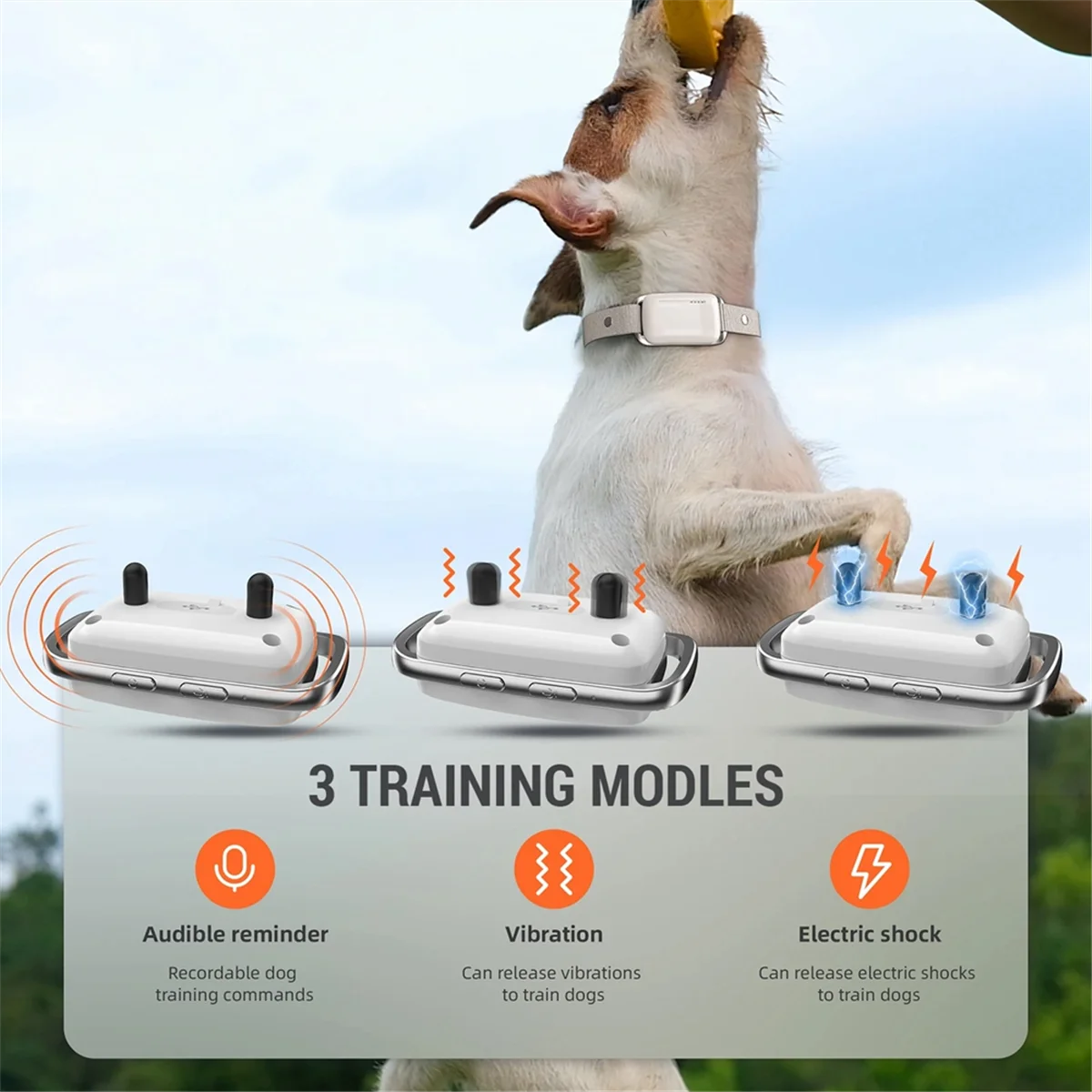 

Dog Ant Bark Collar Rechargeable 1000M Electric Dog Training Collar with Remote LED Light for 8-100lbs Small Large Dog HY
