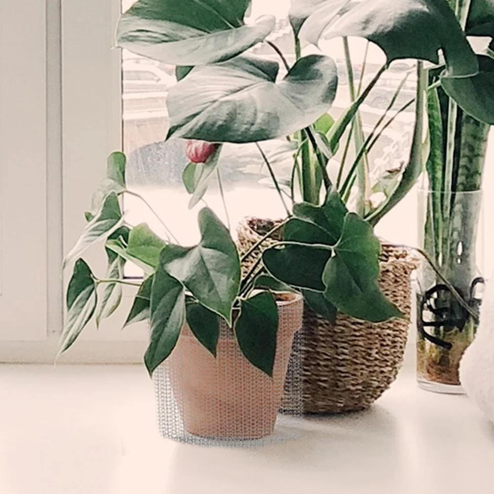 

Garden Plant Root Protection Mesh Bag Stainless Steel Durable Root Guard Basket Preventing Burrowing Animals Rats Outdoor Plant