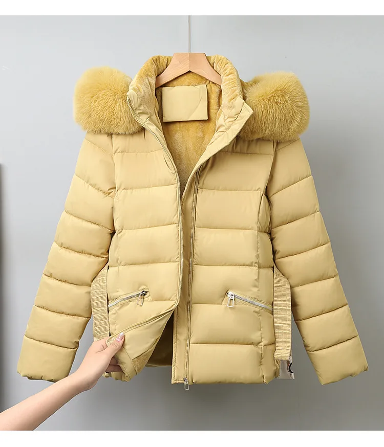 Winter Solid Color Long-sleeved Fur Collar Hooded Short Down Cotton Jacket Women's Slim Winter Thickened Versatile Warm Jacket