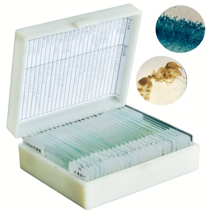 25PC Slices Microscope Slides Plants Animal Human Tissue Specimen Water Flea Sample Section Biological Permanent Slicing Lab