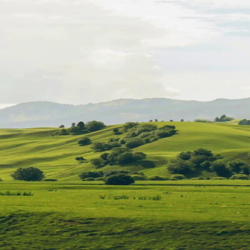 

Светодиодные задние фонари для Audi TT 2006-2013, комплект задних фонарей с динамическим указателем поворота, задним ходом, стоп-сигналом и ходовыми огнями.