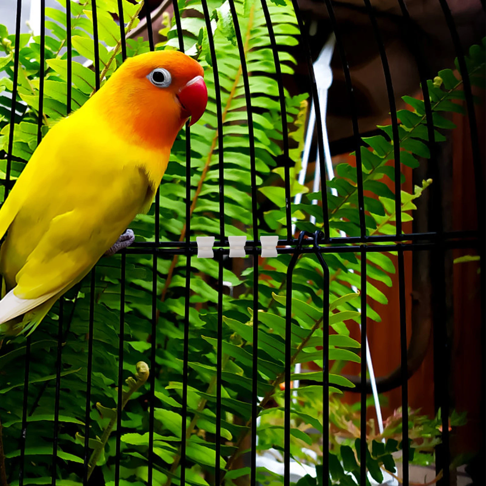 

40Pcs Multifunctional Cabinet Buckles Easy Install Sturdy Material Storage Organizer for Wardrobes Shoe Cabinets Pet Enclosures