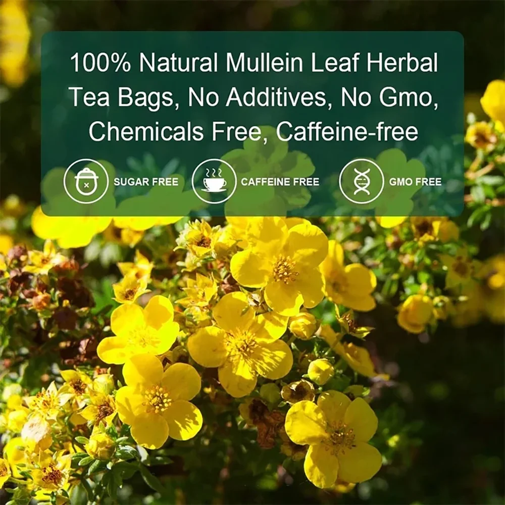 BetterLungs Mullein Tea Bags for Lung Detox - Respiratory Support with Thyme, Elderberry, Ginseng, Ginger, Caffeine Free, 15 Bag