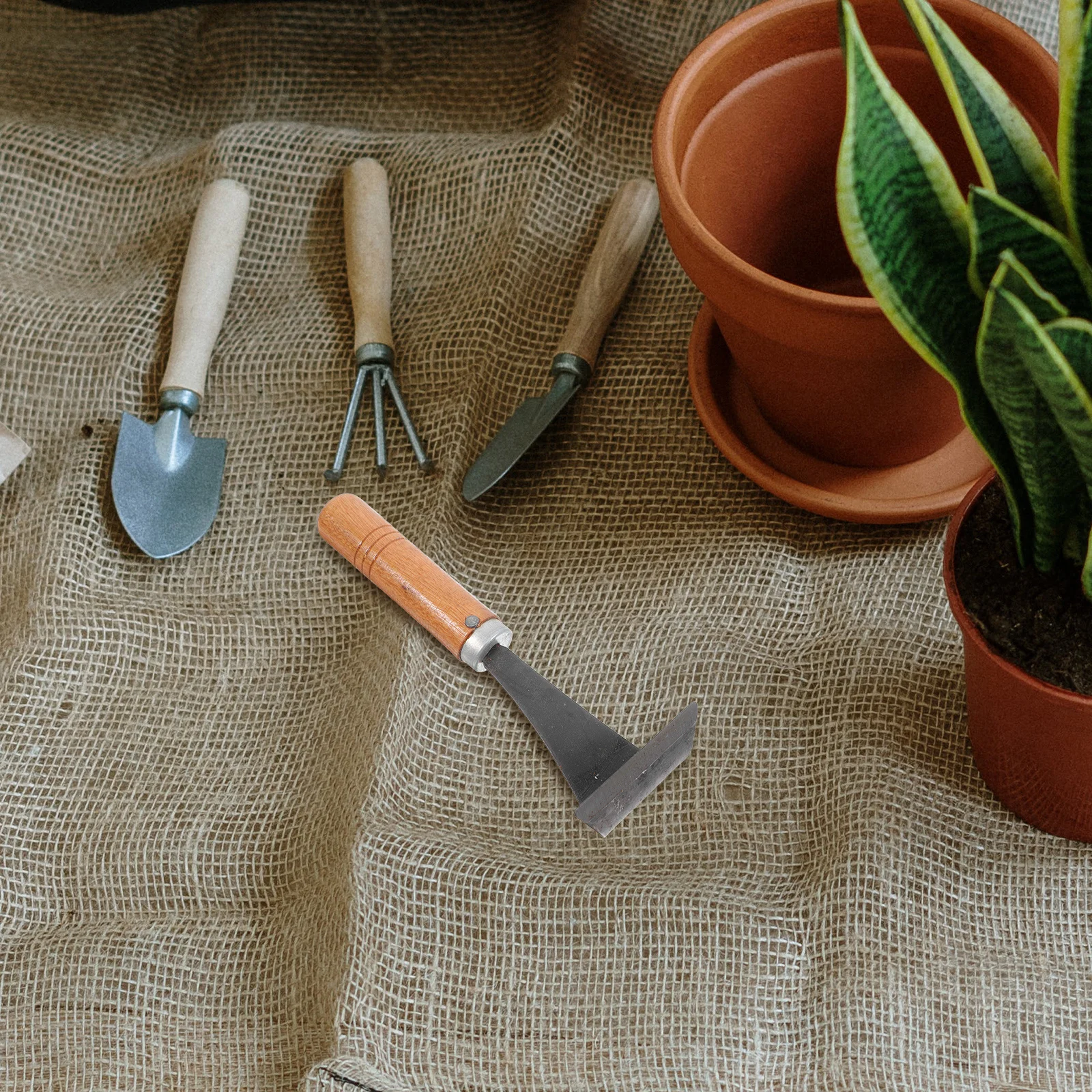 

Metal Bark Scraper with Ergonomic Handle for Easy Gardening Debarking Tool for Tree Bark Removal and Planting Vegetables