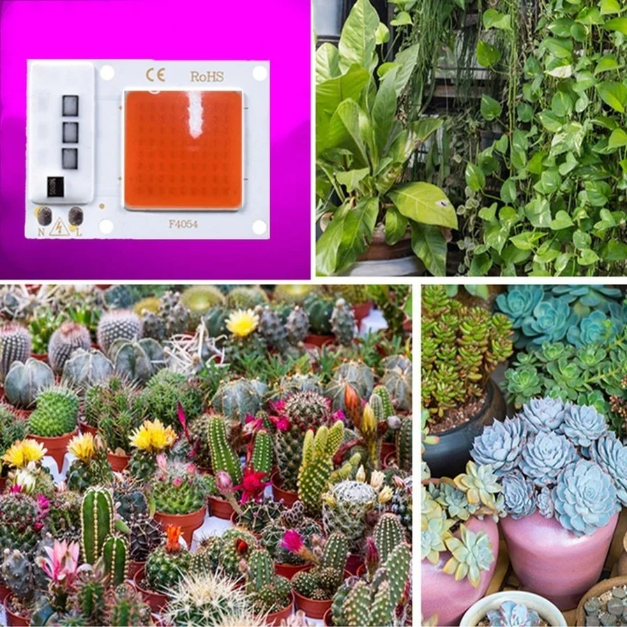 Рисунок 4 - COB светодиодный чип полного спектра