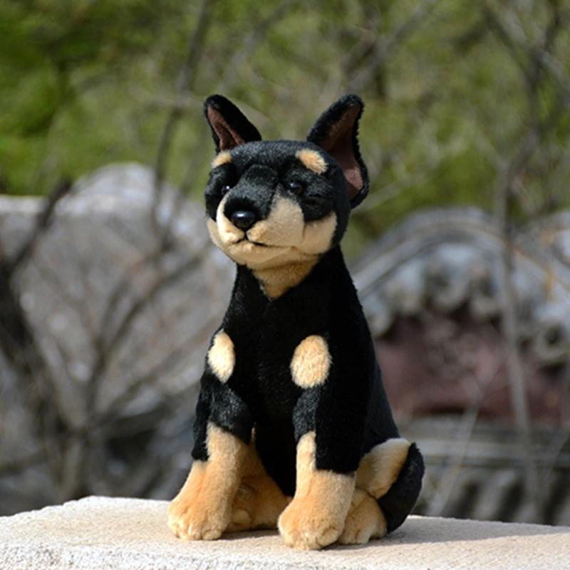 Durbin muñeco de peluche de Anime de alta fidelidad, muñeco de peluche de perro Pinscher, Doberman, simulación de animales realistas, regalo de juguete Kawai