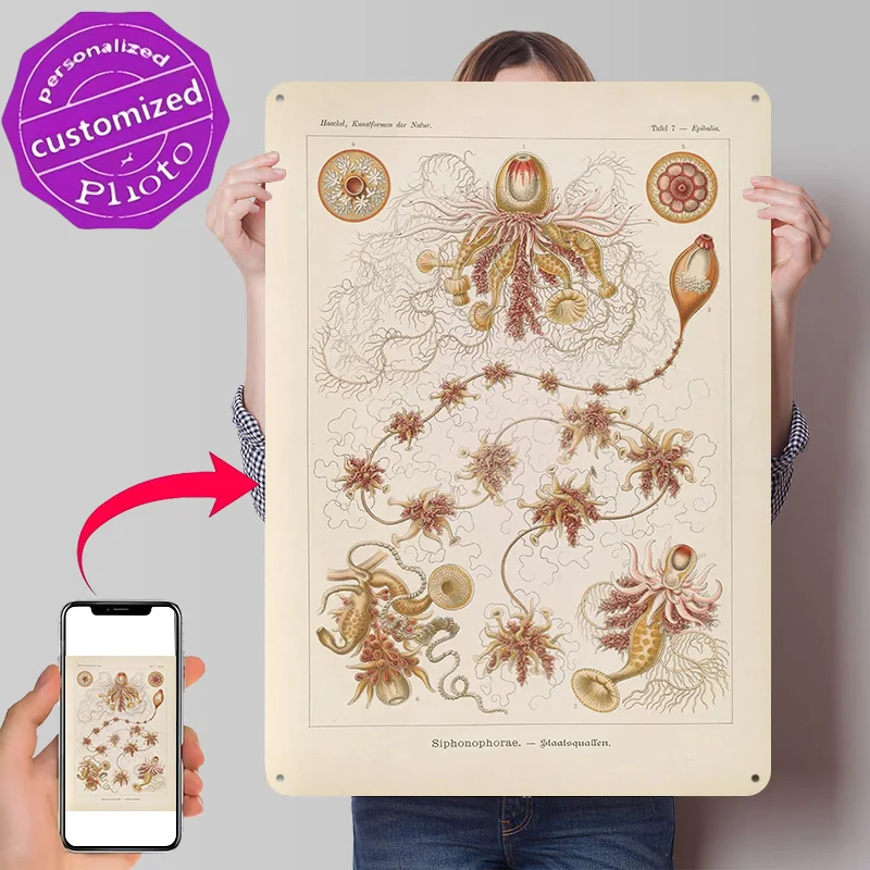 Ernst Haeckel Siphonophorae Scientific Metal Poster Perfect Gift for Fans Lovers Customized Wall Art Metal Sign for Decor Room