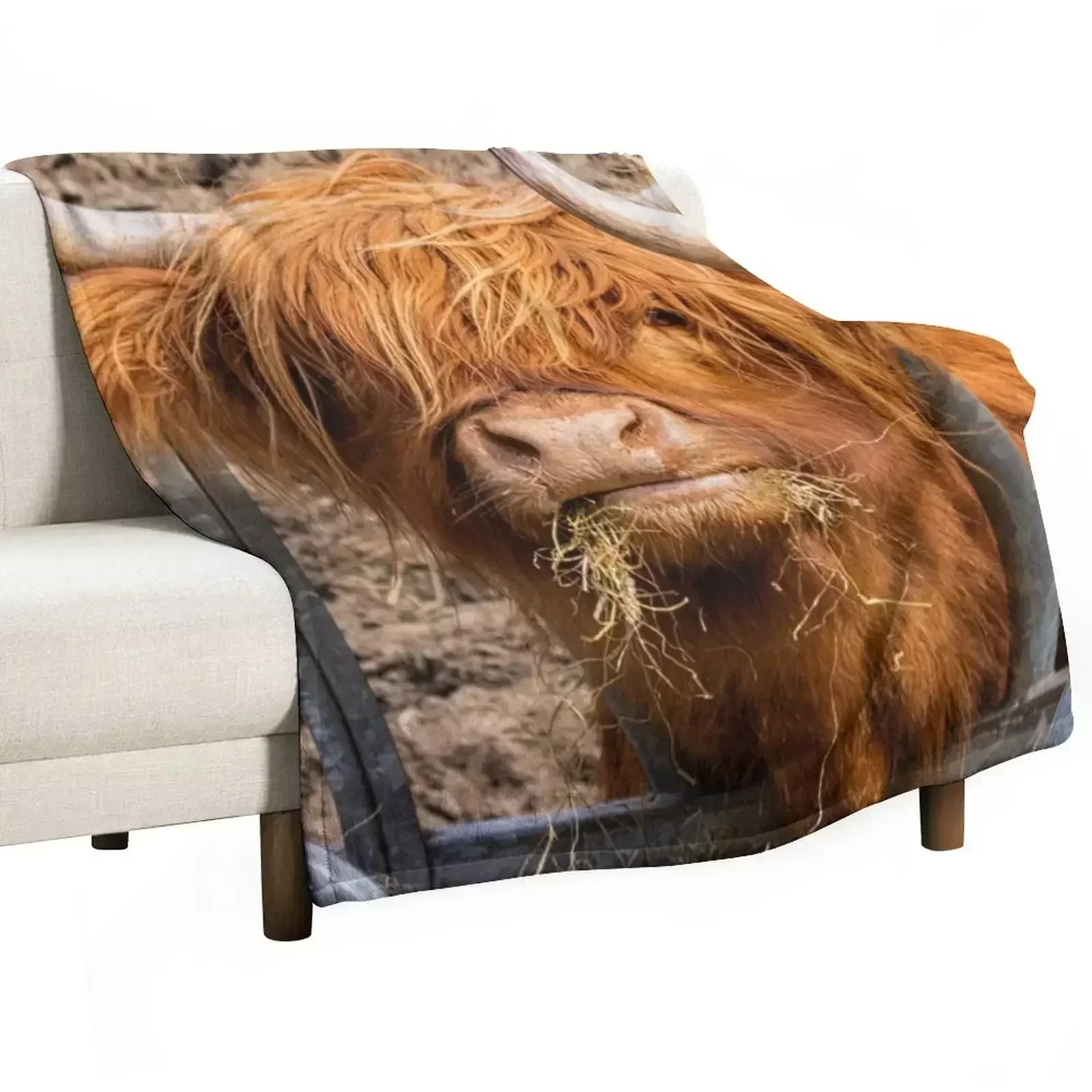 Cute hungry ginger Scottish Highland cow Throw Blanket Durable Warm Blanket for Daily Home Use