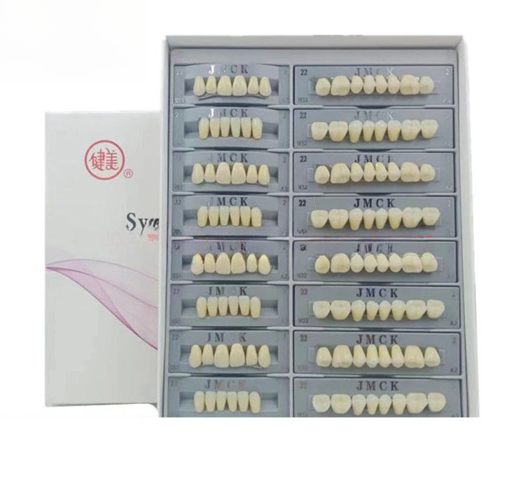 

1set Dentistry Synthetic Resin Teeth Complete Denture Teaching Model Oral Implants Full Set Multiple Models Dental Materials