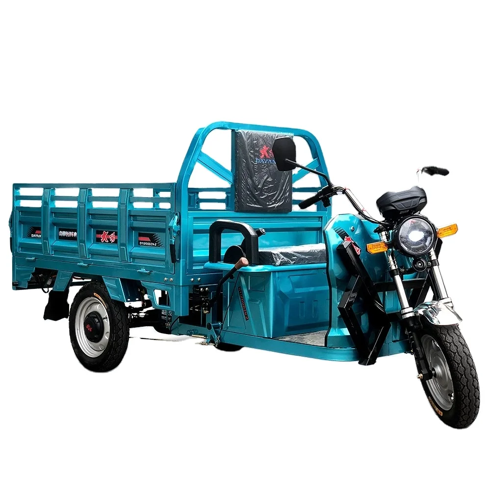 

China factory DAYANG brand wholesale customized 72V 1000w electric tricycle for adult high quality cargo bike scooter