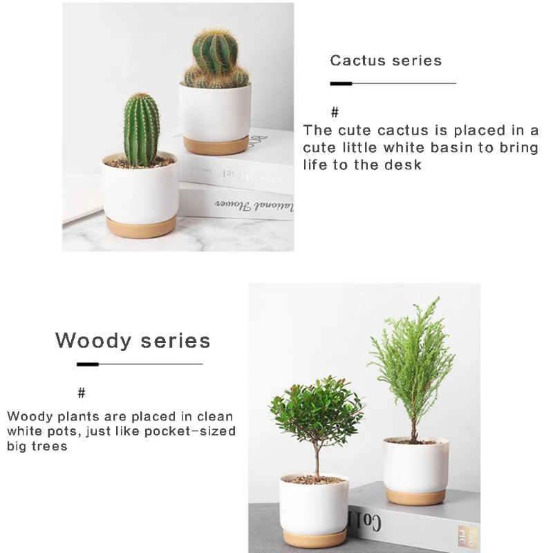 High Hardness Imitation Ceramic Plastic Flower Pot-Large/Small White Succulents Planter Plastic Plant Pots White