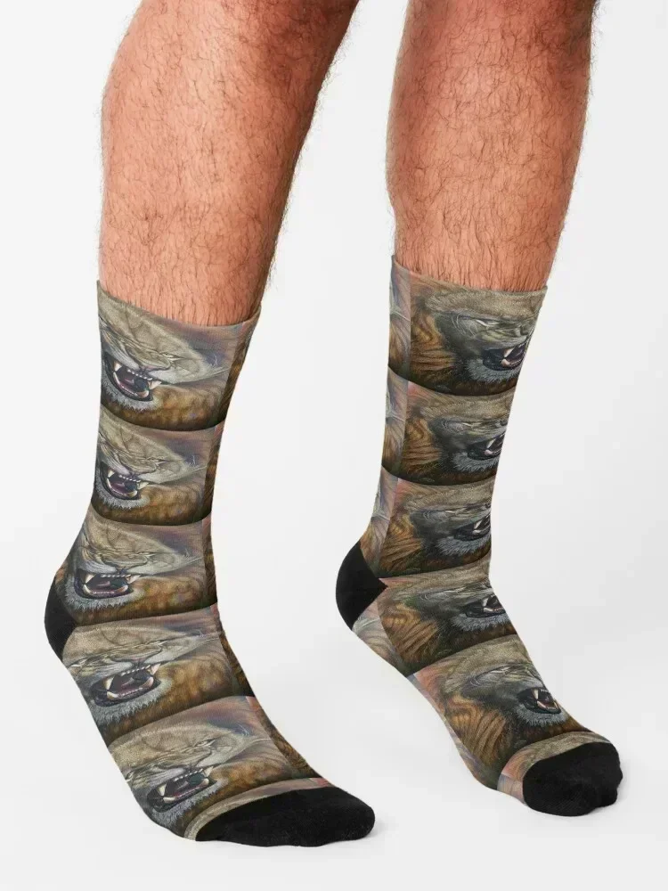 big lion Socks Wholesale christmas gifts gifts christmass gift Boy Child Socks Women's