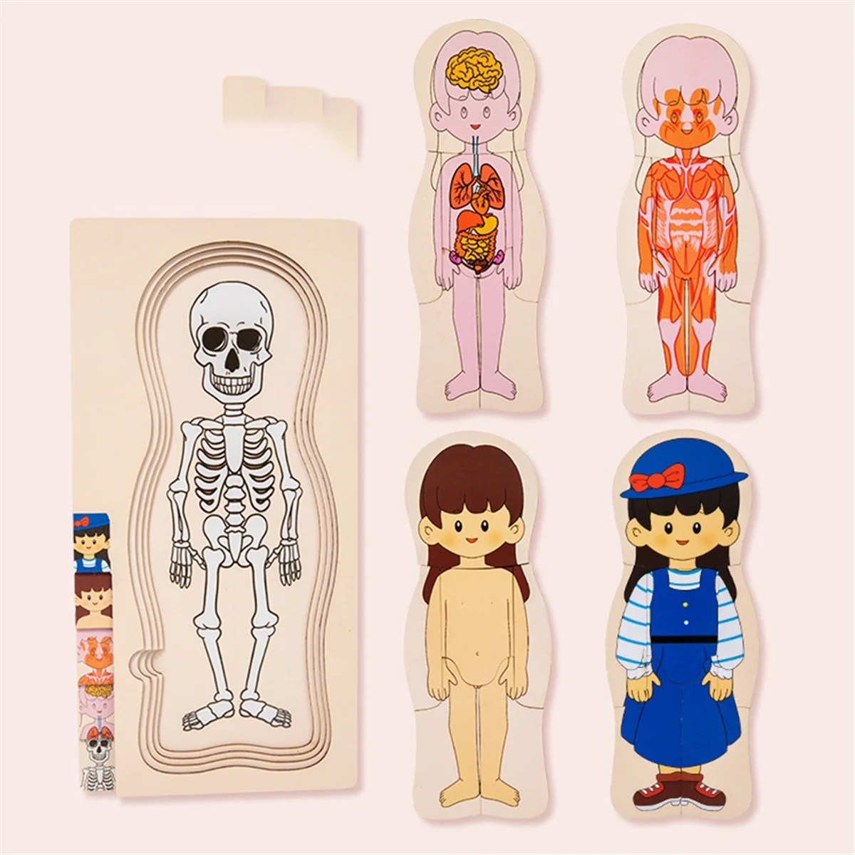 A72Z Wooden Human Body Structure Puzzle Children'S Multi-Layer Plane Puzzle Early Childhood Education Toys,Boy